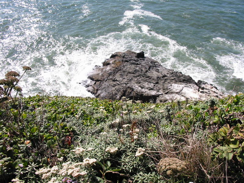 Oregon coast