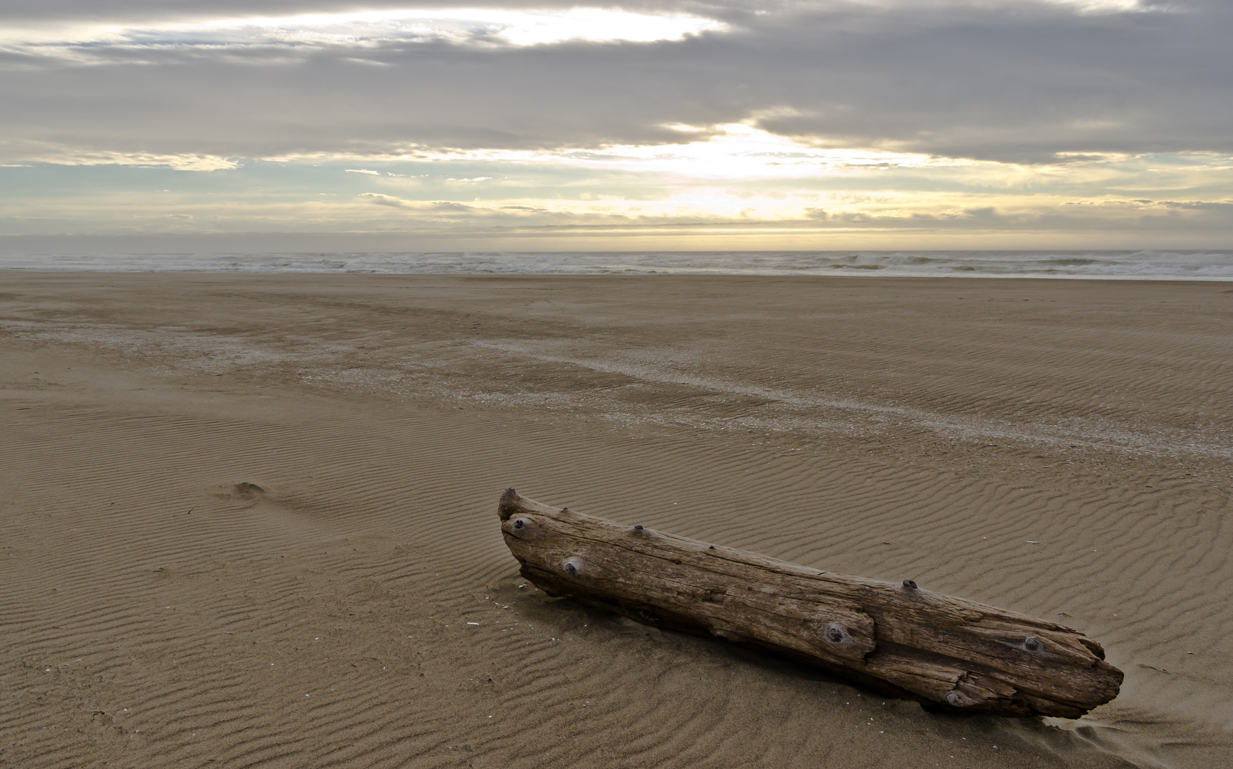 Oregon Coast