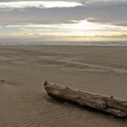 Oregon Coast