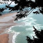 Oregon Coast