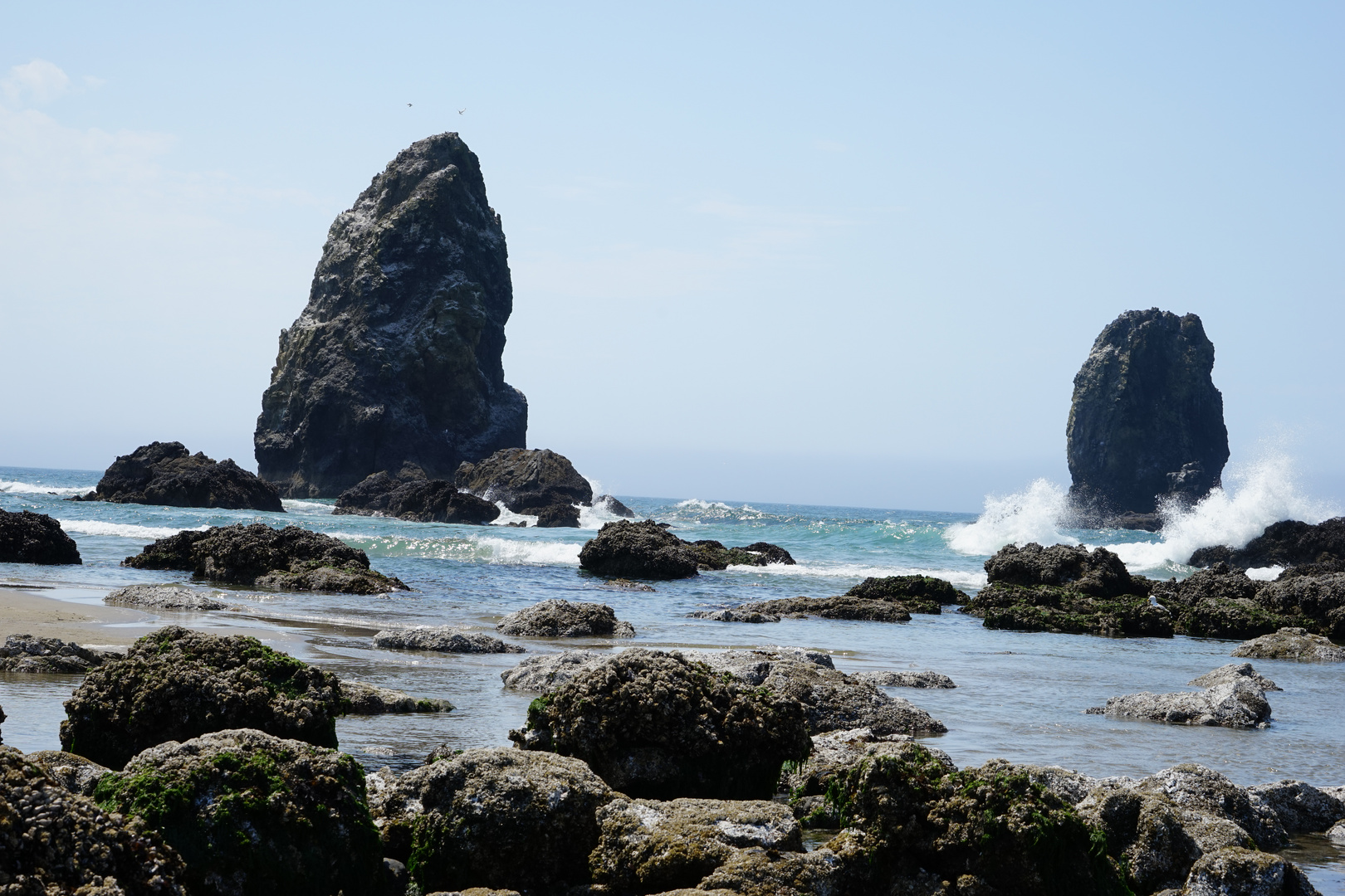 Oregon Coast - Cannon Beach