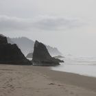 Oregon Coast