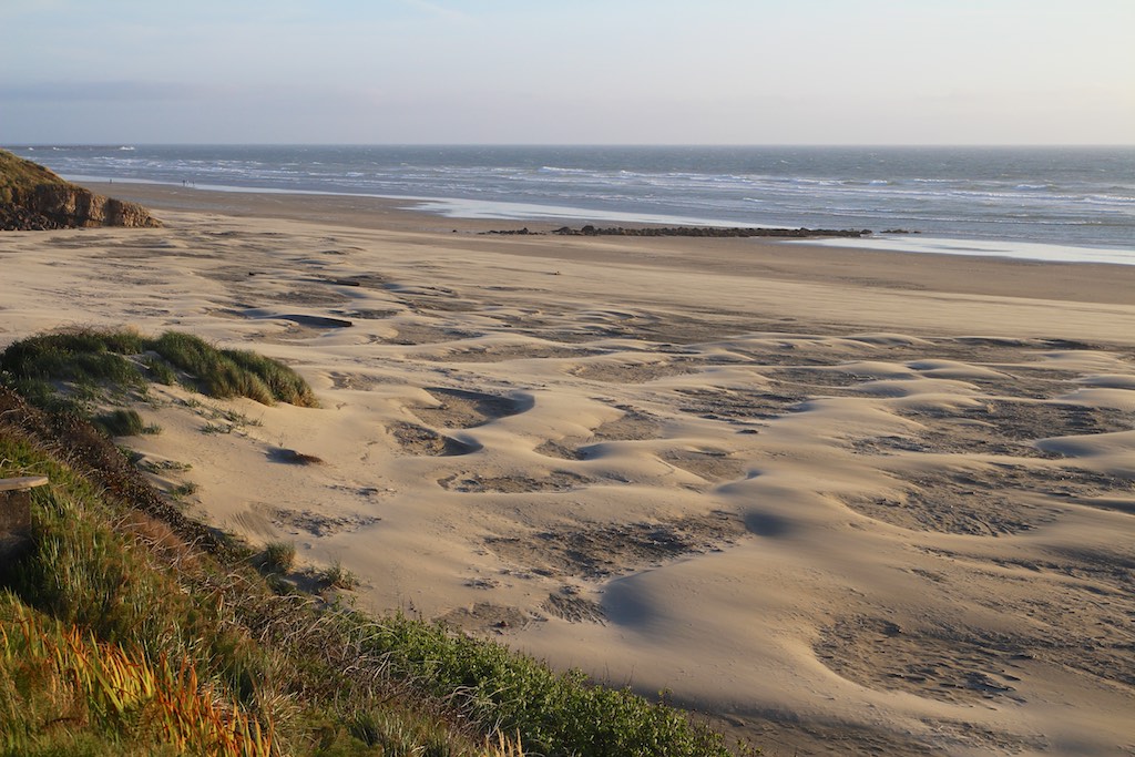 Oregon Coast Dunes