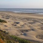 Oregon Coast Dunes