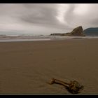 Oregon Coast