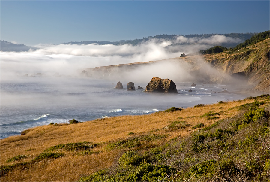 Oregon Coast II