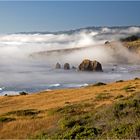 Oregon Coast II