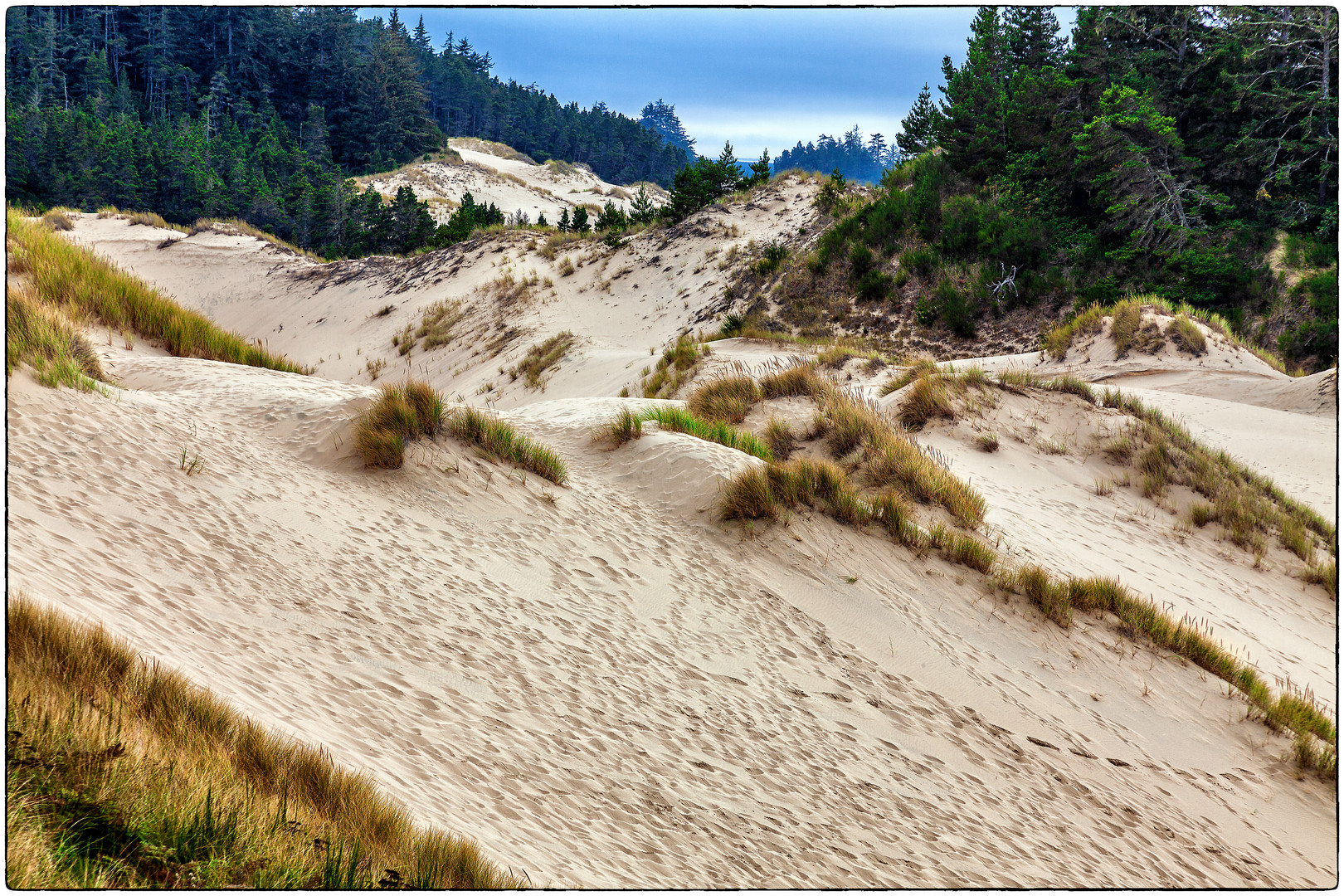 Oregon Dunes