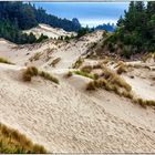 Oregon Dunes