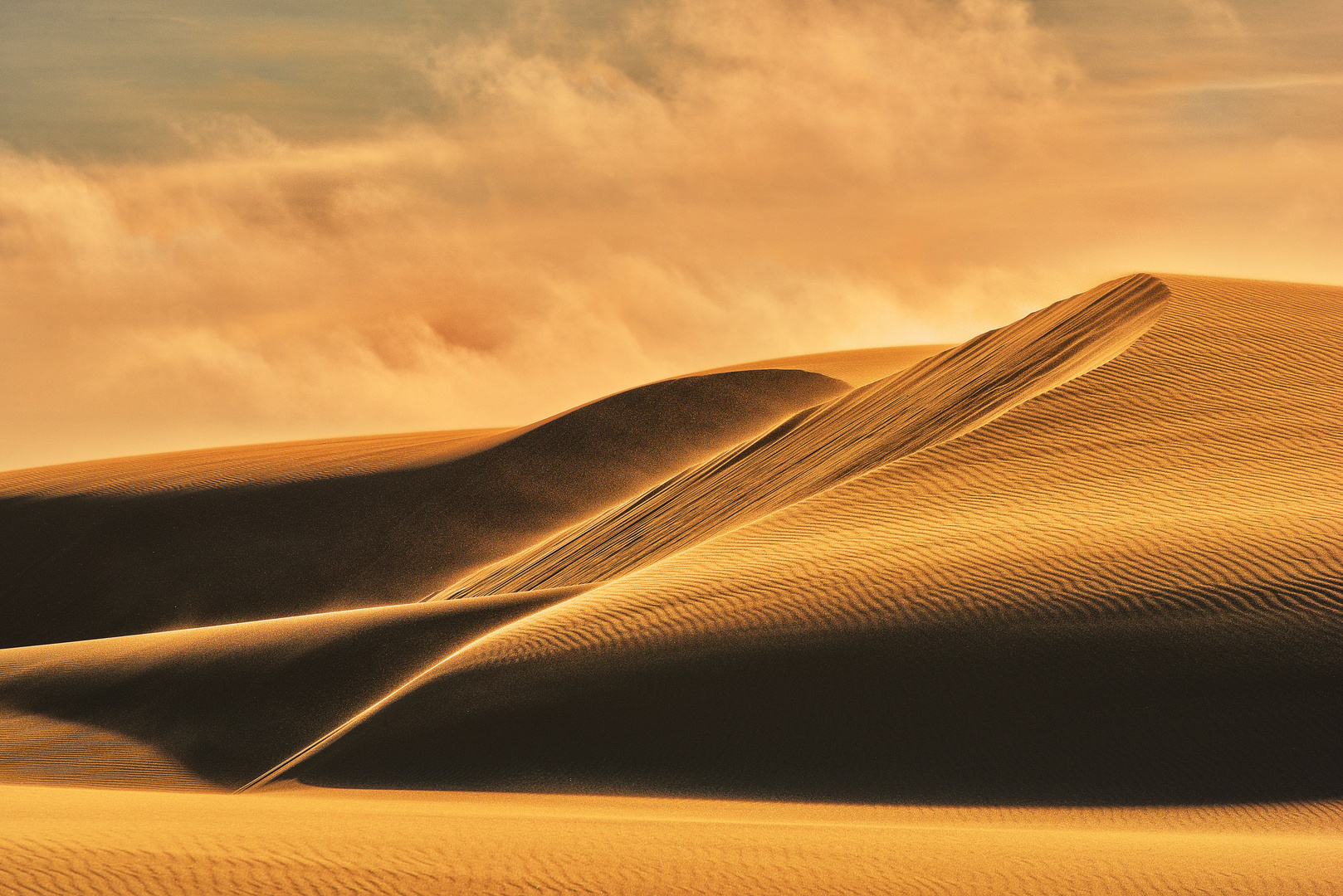 Oregon Dunes