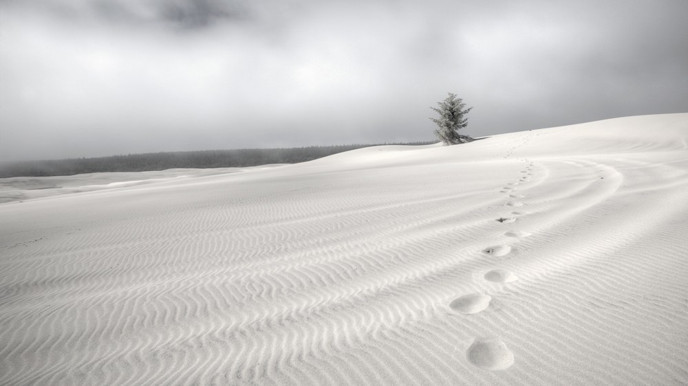 Oregon Dunes II