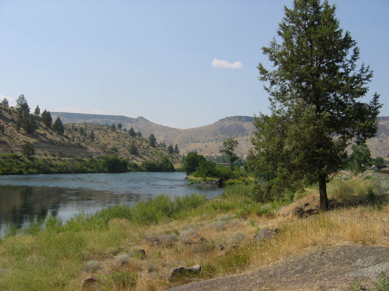 Oregon Landscape