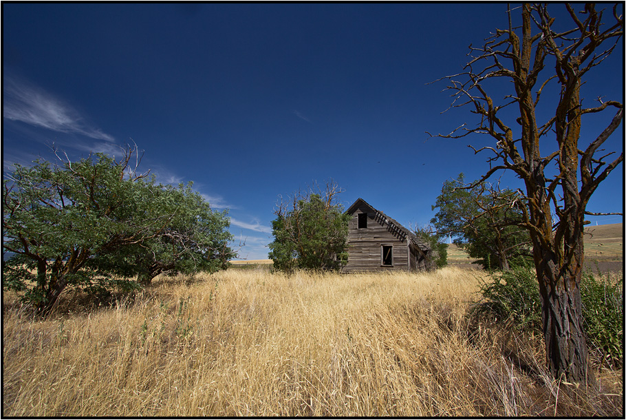 Oregon | lost dreams |