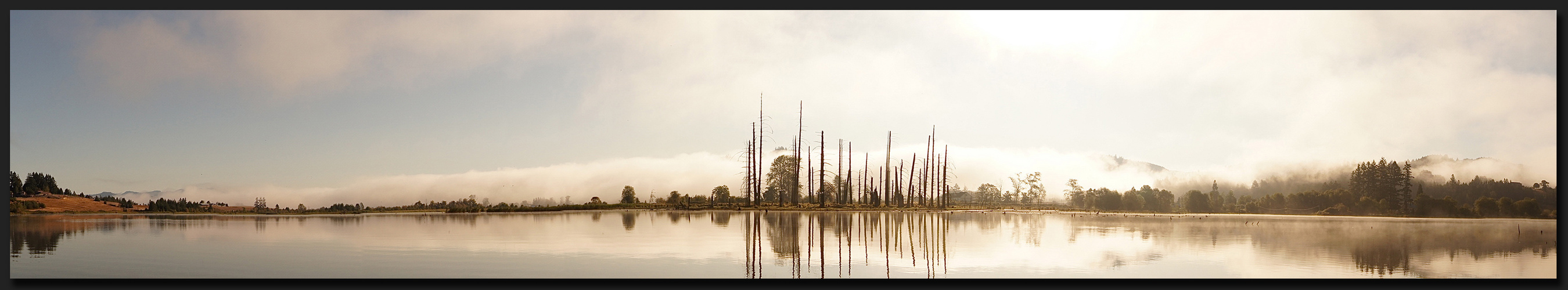 "Oregon Morning Mist 3"