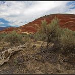 Oregon | painted hills |