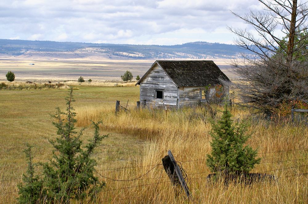 Oregon Shack