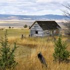 Oregon Shack