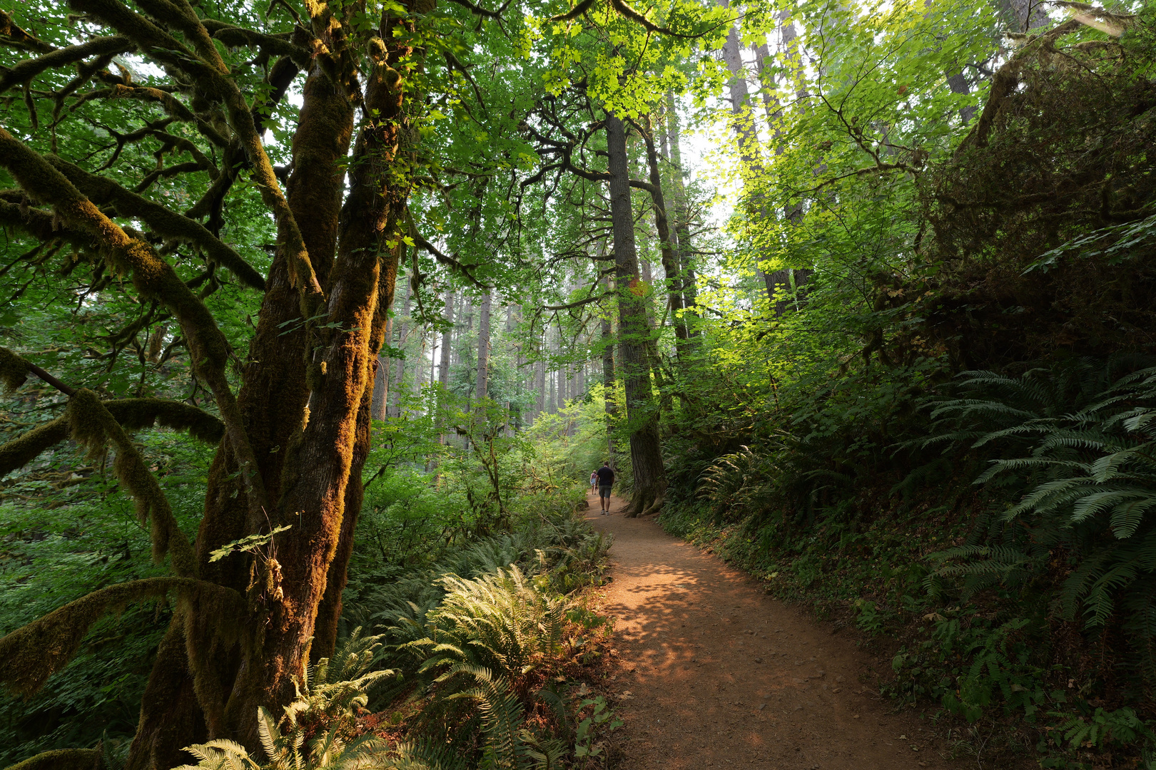 Oregon Silver Falls State Park