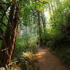 Oregon Silver Falls State Park