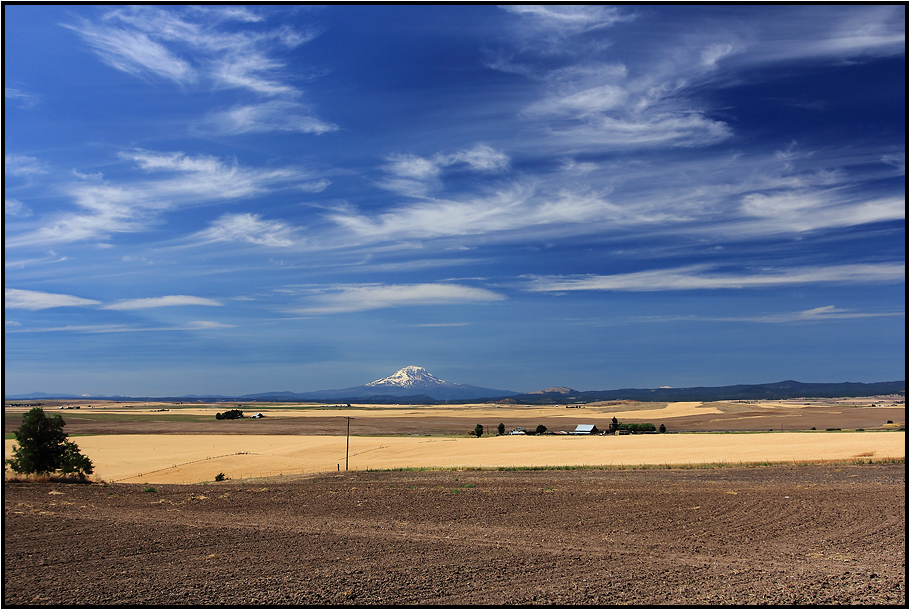 Oregon | wide skies |