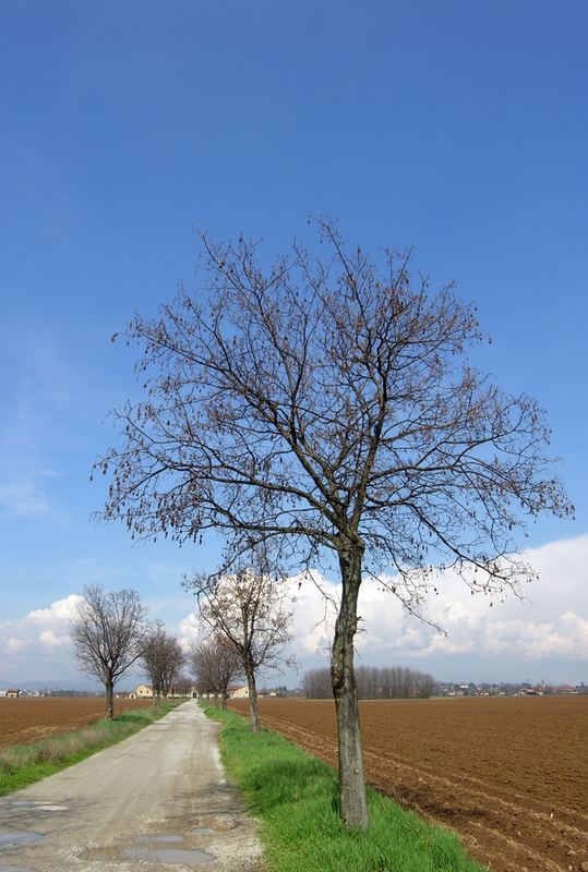 Oreno, cascina cavallera 01