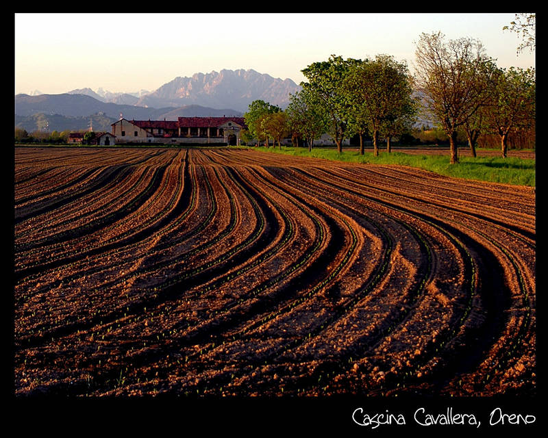 oreno, cascina cavallera