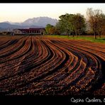 oreno, cascina cavallera