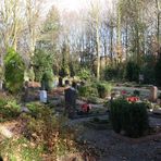 org. Friedhof