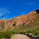 Organ Pipe Cactus National Monument