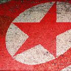 Organic Display (in North Korea) [2]
