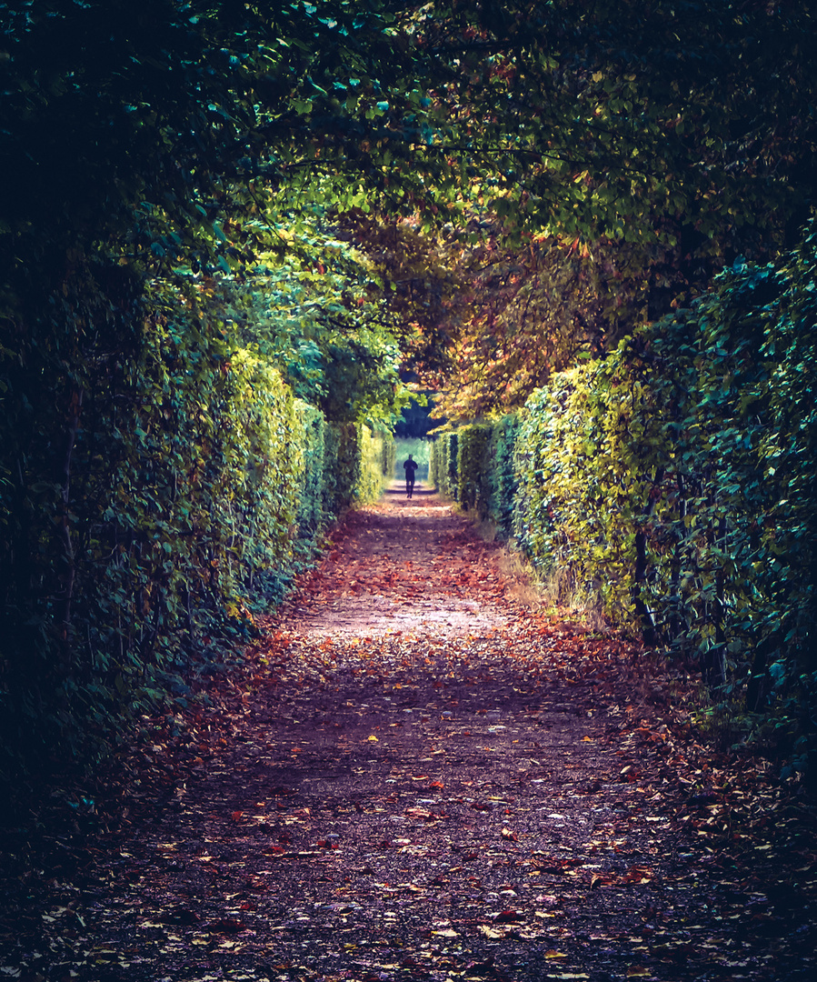 organic tunnel