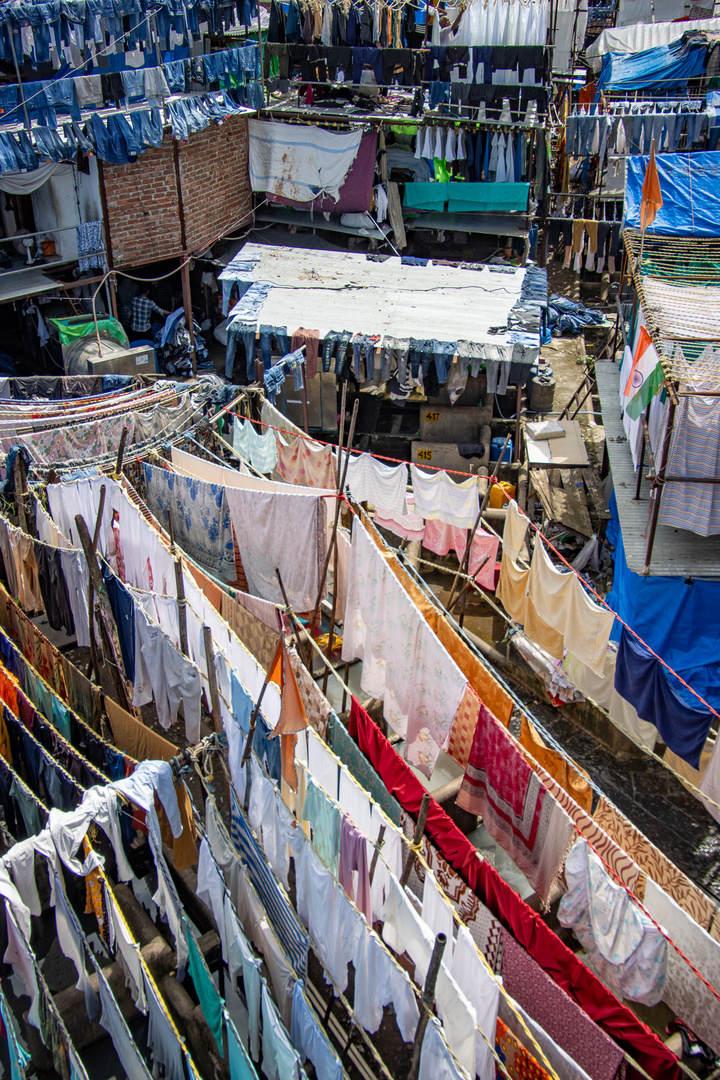 Organised Chaos