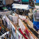 Organised Chaos