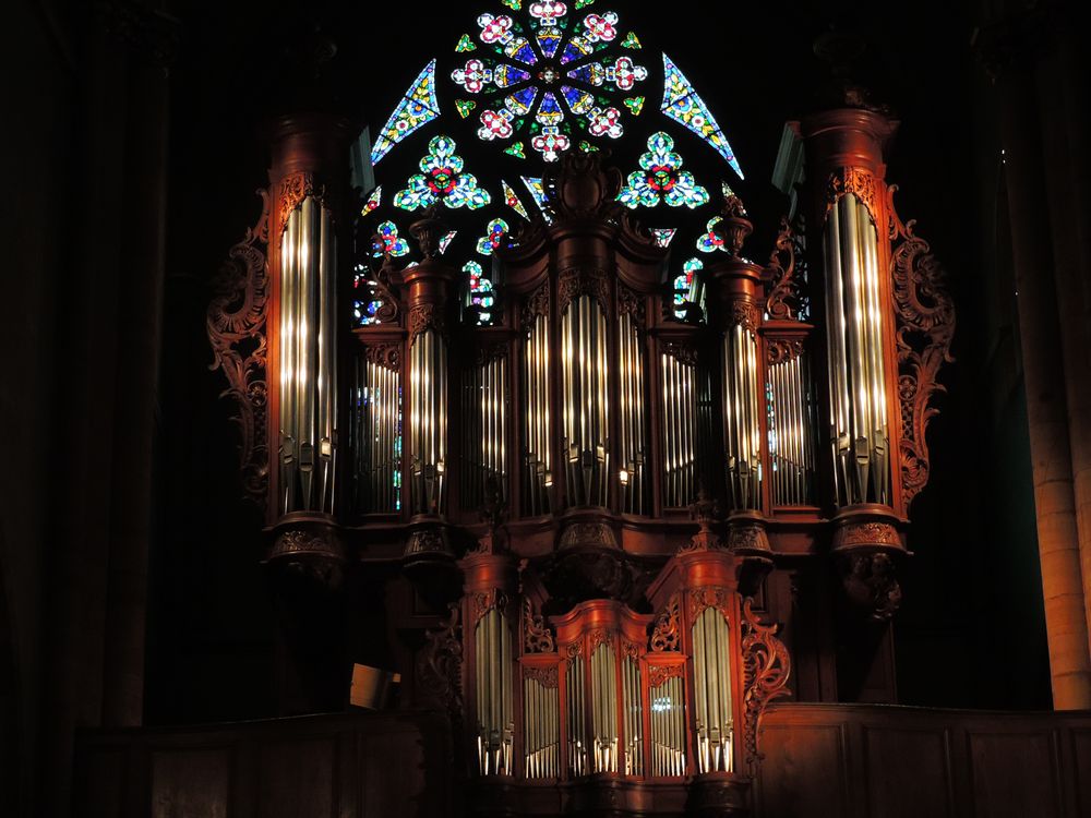 Organo gotico
