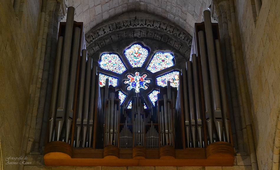 Organs of tubes of the Cathedral of Oporto