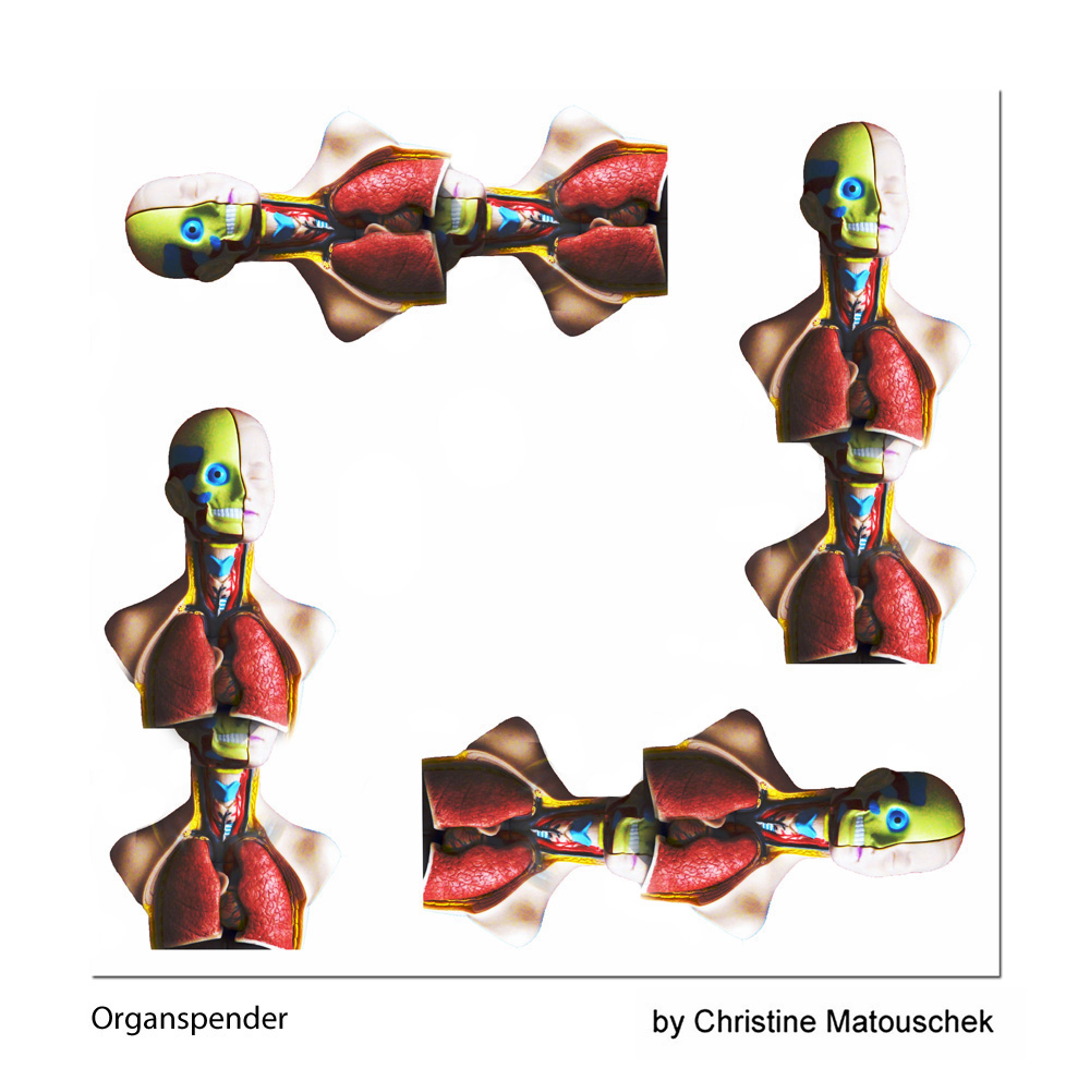 Organspender