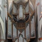 Orgel