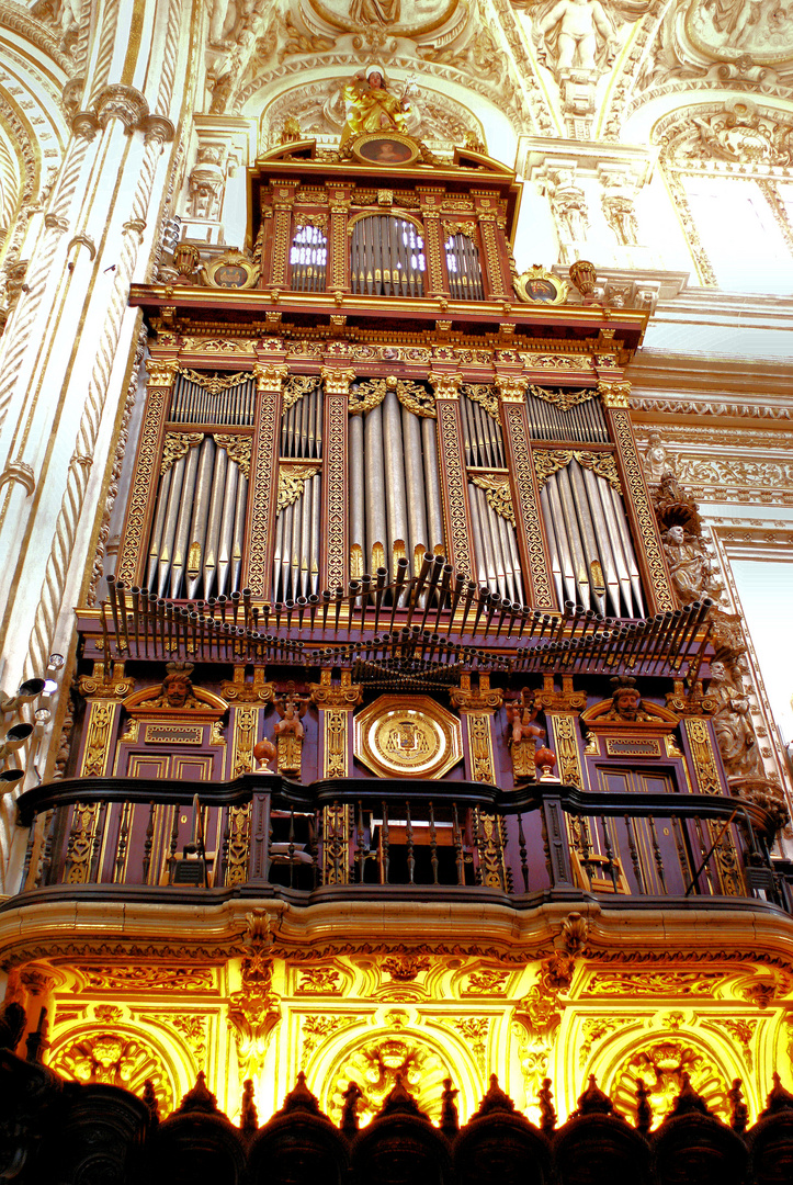 Orgel der Kathedrale