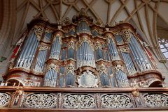 Orgel der Schloßkirche zu Altenburg