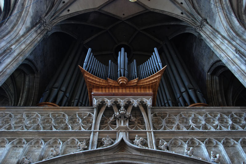 Orgel des Stephandoms