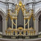 Orgel Dresden