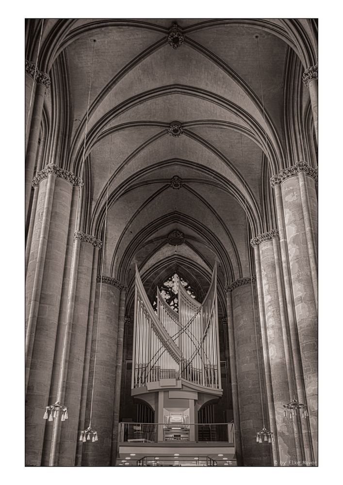 Orgel Elisabethkirche zu Marburg