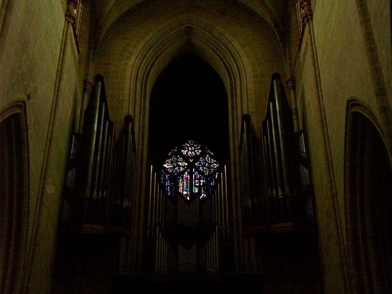 Orgel iim Ulmer Münster