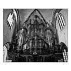 Orgel im Dom zu Cammin