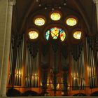 Orgel im Limburger Dom