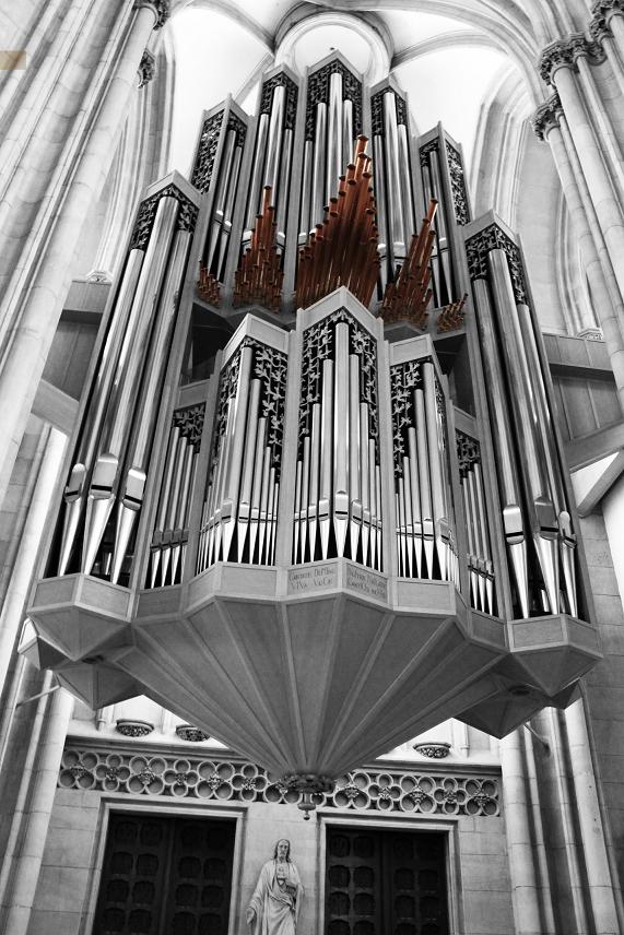 Orgel im St.Paulus Dom Münster