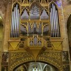 Orgel in der "La Seu"