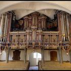 Orgel in Kirche Basedow