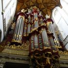 Orgel in Niederlande