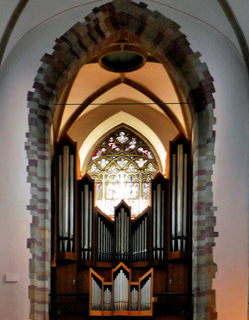 Orgel in St. Severin